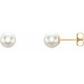 6.5mm Akoya Studs