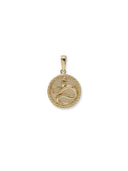 14 Karat Yellow Dew Drop Year of The Snake Medallion Necklace
