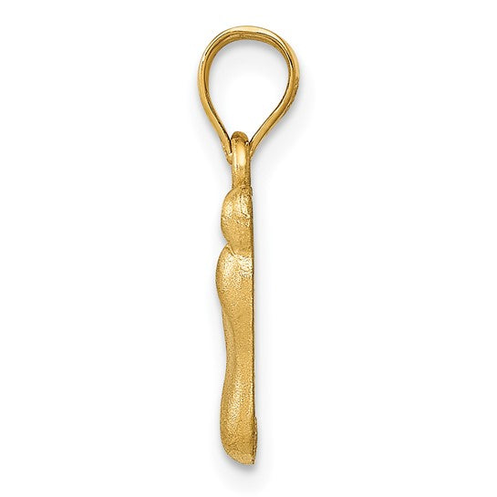 14K Yellow Gold Foot Charm