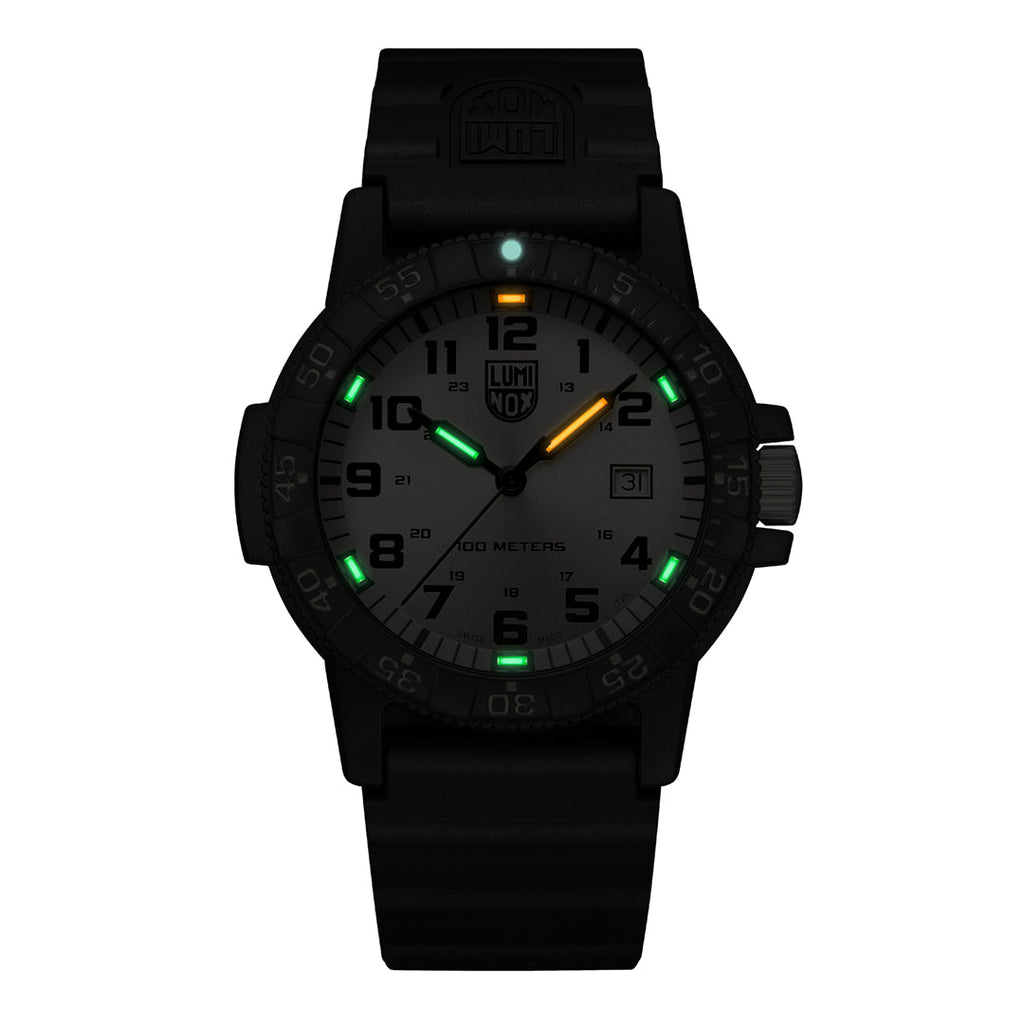 Leatherback SEA Turtle Giant, 44MM - 0325.GP
