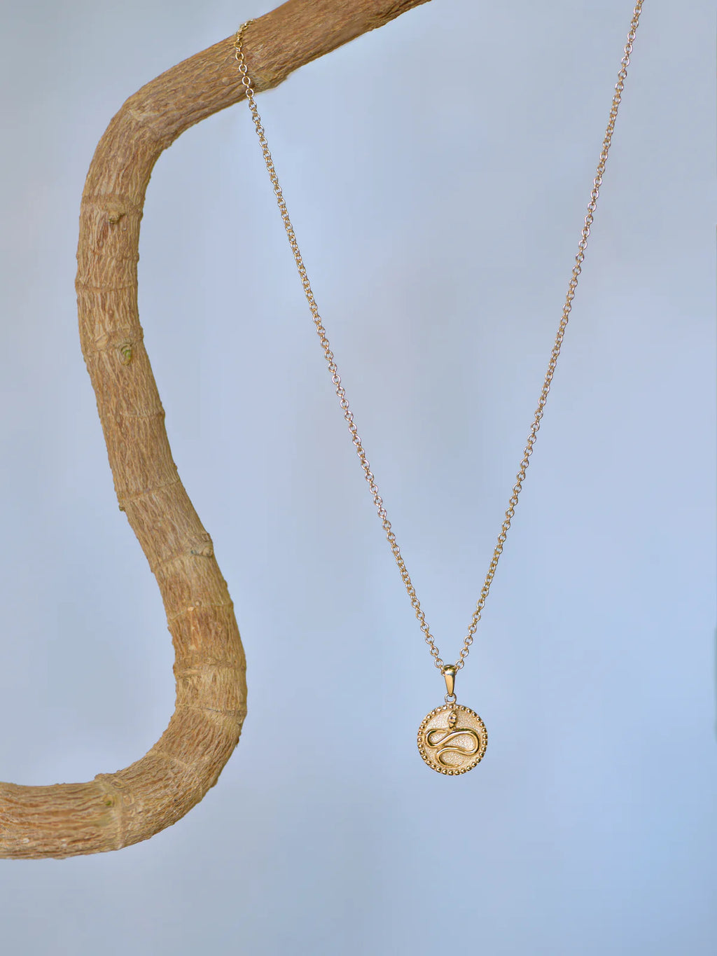 14 Karat Yellow Dew Drop Year of The Snake Medallion Necklace